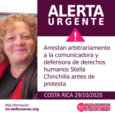 Defensora Stella Chinchilla