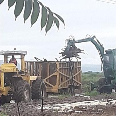 Maquinas excavadoras desalojo